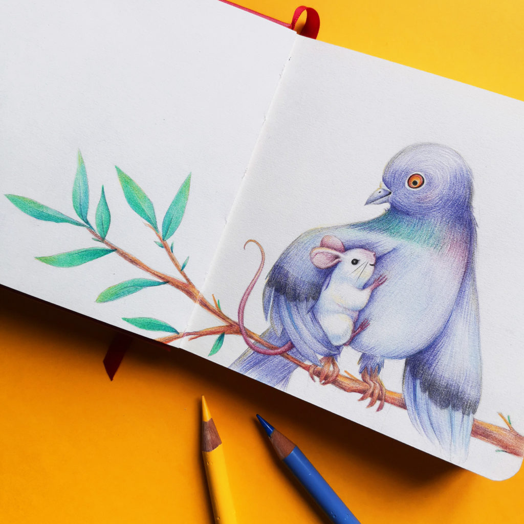 Illustration "souris sous l'aile du pigeon" au crayon de couleurs
